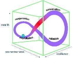 Adaptive Cycle